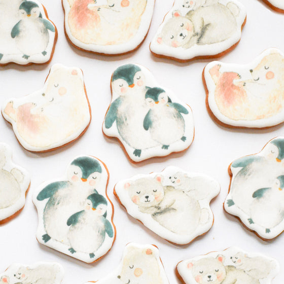 COLLECTION DOUDOU DE NOËL