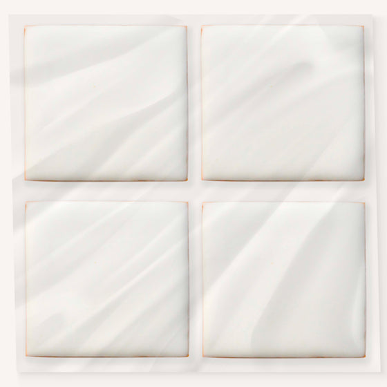 LOT DE 4 BISCUITS (CARRÉS)