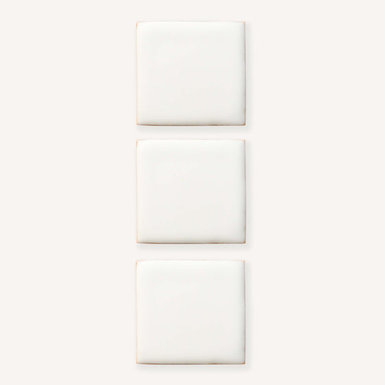 LOT DE 3 BISCUITS (CARRÉS)