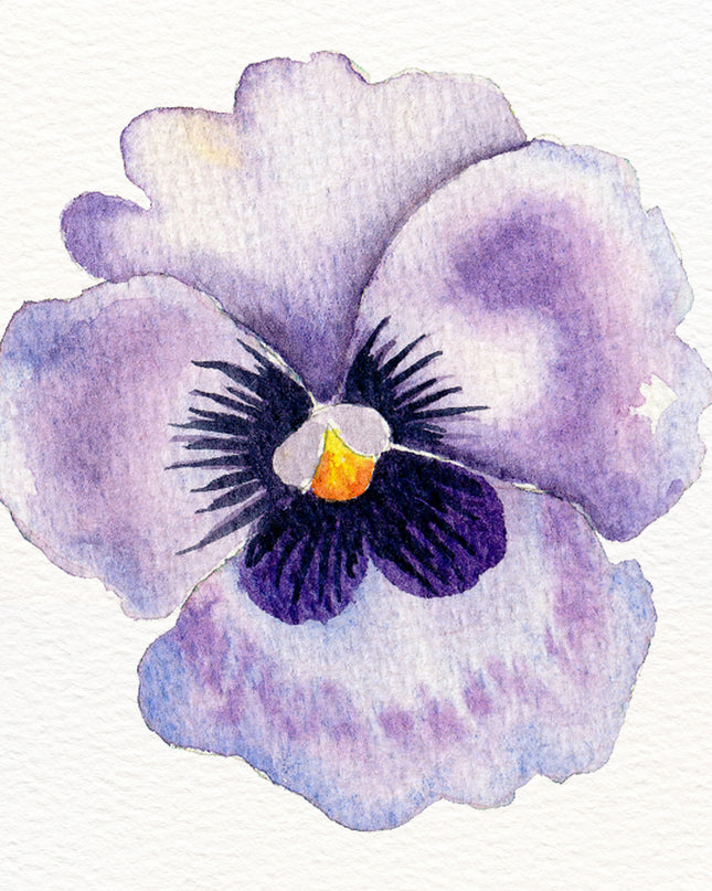 Aquarelle à peindre -La Pensée