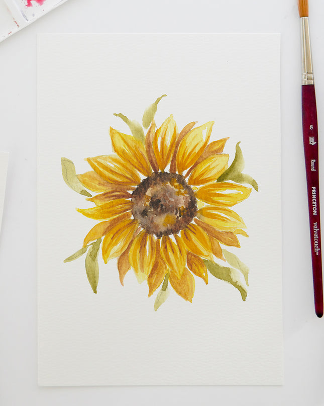Aquarelle à peindre -Le Tournesol