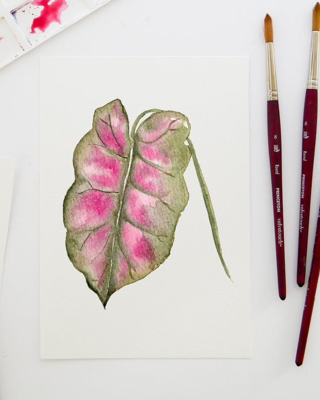 Aquarelle à peindre -La Monstera